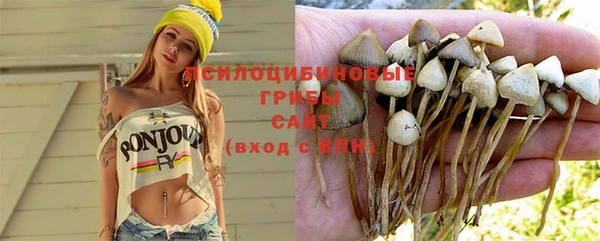 стафф Абинск
