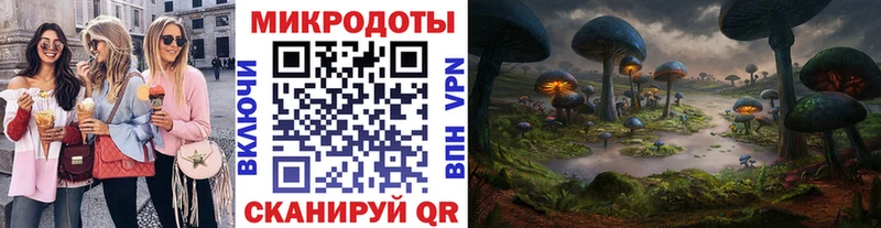 Псилоцибиновые грибы Cubensis  купить   Топки 