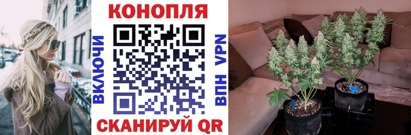 Шишки марихуана MAZAR Топки
